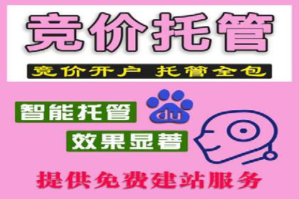成功案例展示：百度竞价代运营助力企业品牌提升